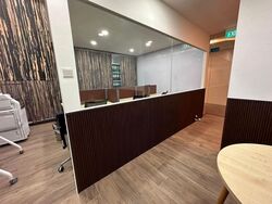 Onze @ Tanjong Pagar (D2), Shop House #608452391